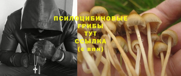наркотики Алексин