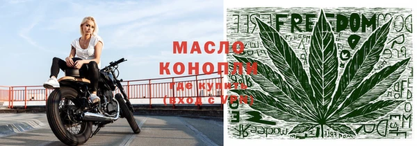 прущие грибы Вязьма