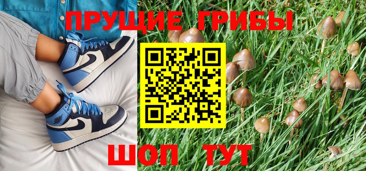 как найти закладки  Галлюциногенные грибы Cubensis  Вход с VPN  Югорск 