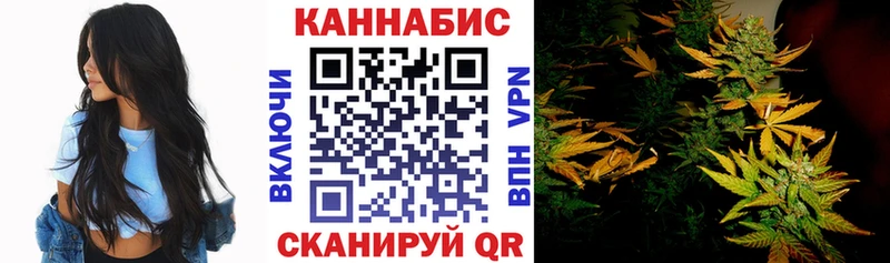 Бошки Шишки семена Югорск